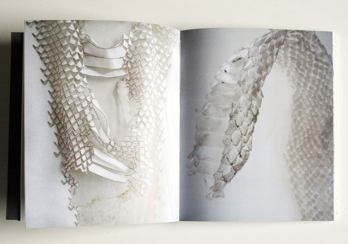 &#039;&#039;Snake&amp;amp;molting legwear&#039;&#039; research material and inspiration , Image Courtesy of Camille Cortet