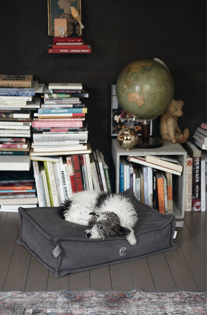 Ella on a COZY dog bed, photo © Janne Peters.