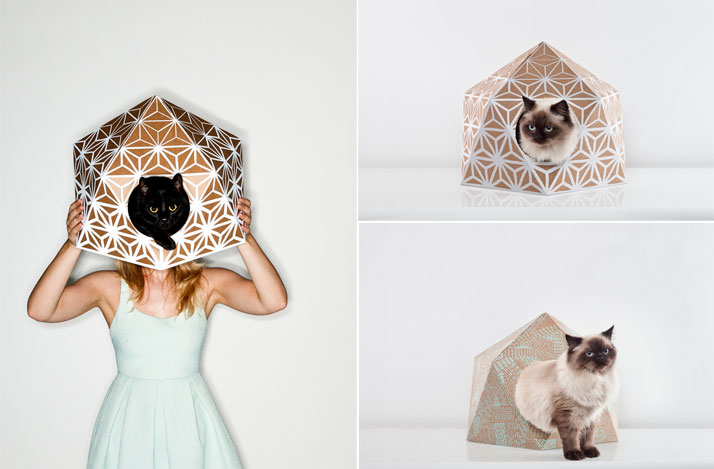 CAT CUBE by Delphine Courier.