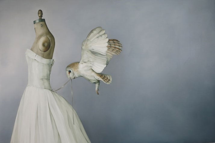 Photo © Amy Judd.