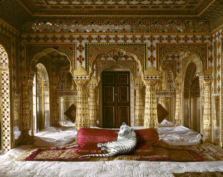 Karen Knorr, The Peacemaker, Chandra Mahal, Jaipur City Palace, Jaipur. From the book India Song © Skira Editore.