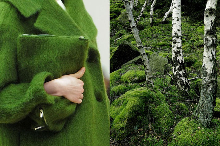 Match #176Details at Céline Fall 2013 | Forest with green moss and white trees