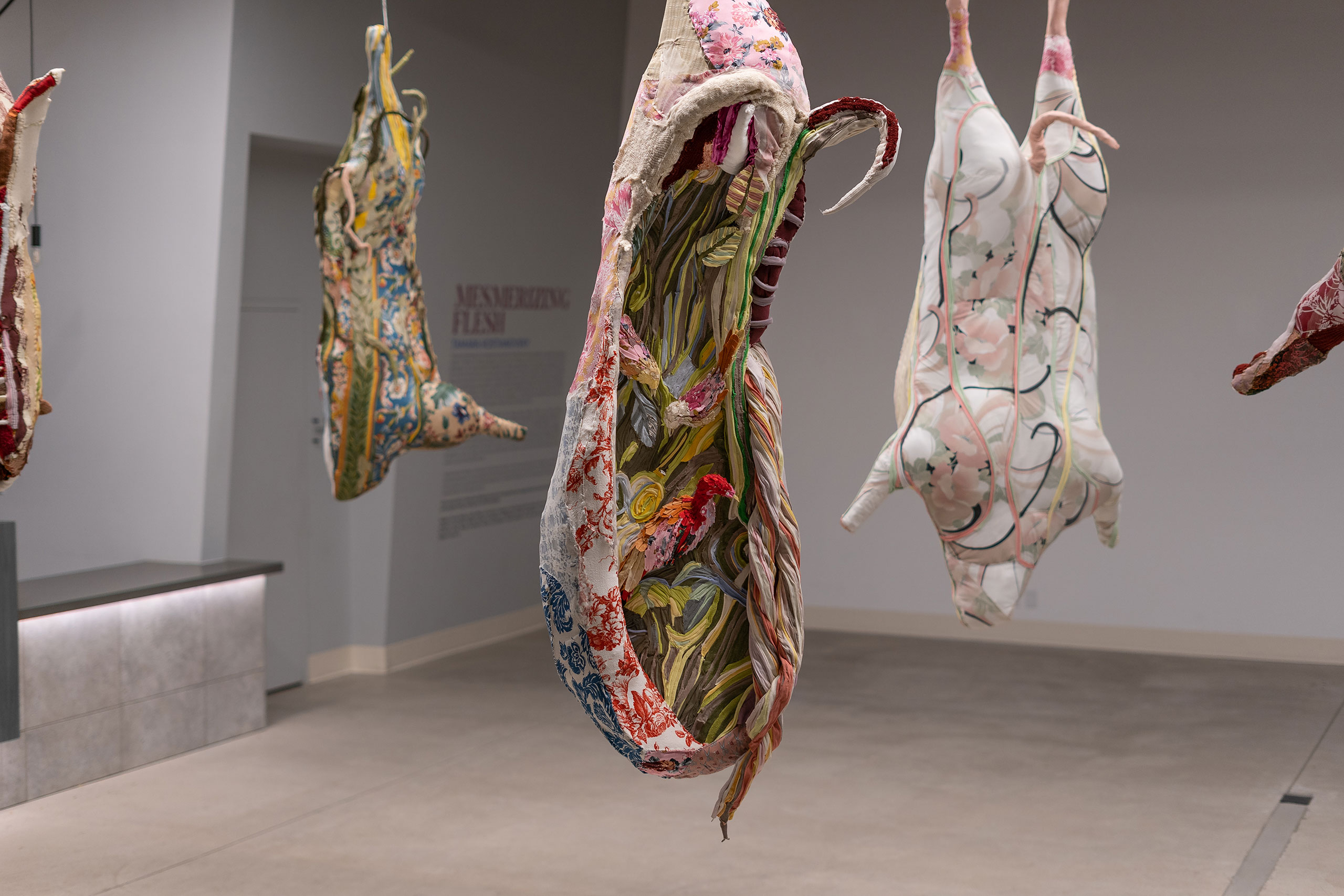 Installation view. Tamara Kostianovsky: Mesmerizing Flesh at Ogden Contemporary Arts. Photography by Cody Ard. Courtesy Ogden Contemporary Arts.