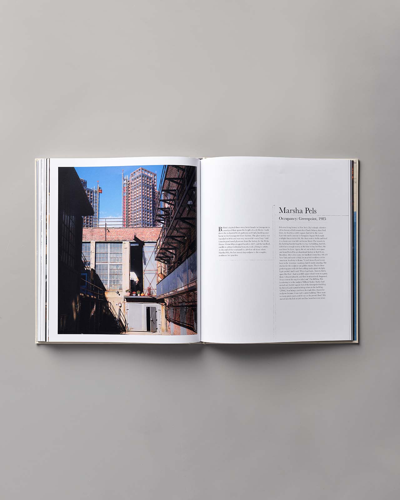 Loft Law: The Last of New York City’s Original Artist Lofts by Joshua Charow, Damiani Books 2024.