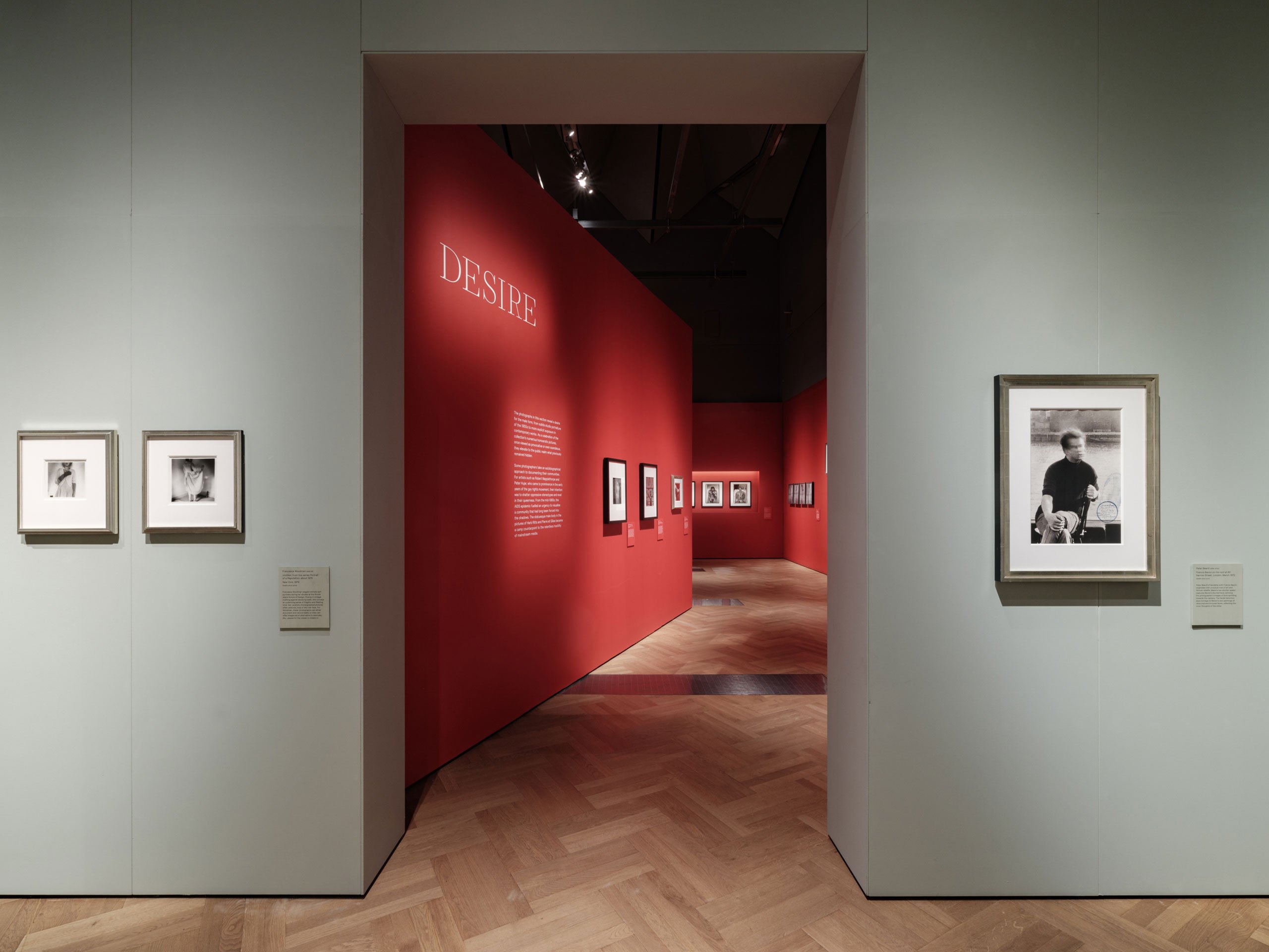 Installation view of "Fragile Beauty" at V&amp;A, South Kensington.
Photography © James Retief.