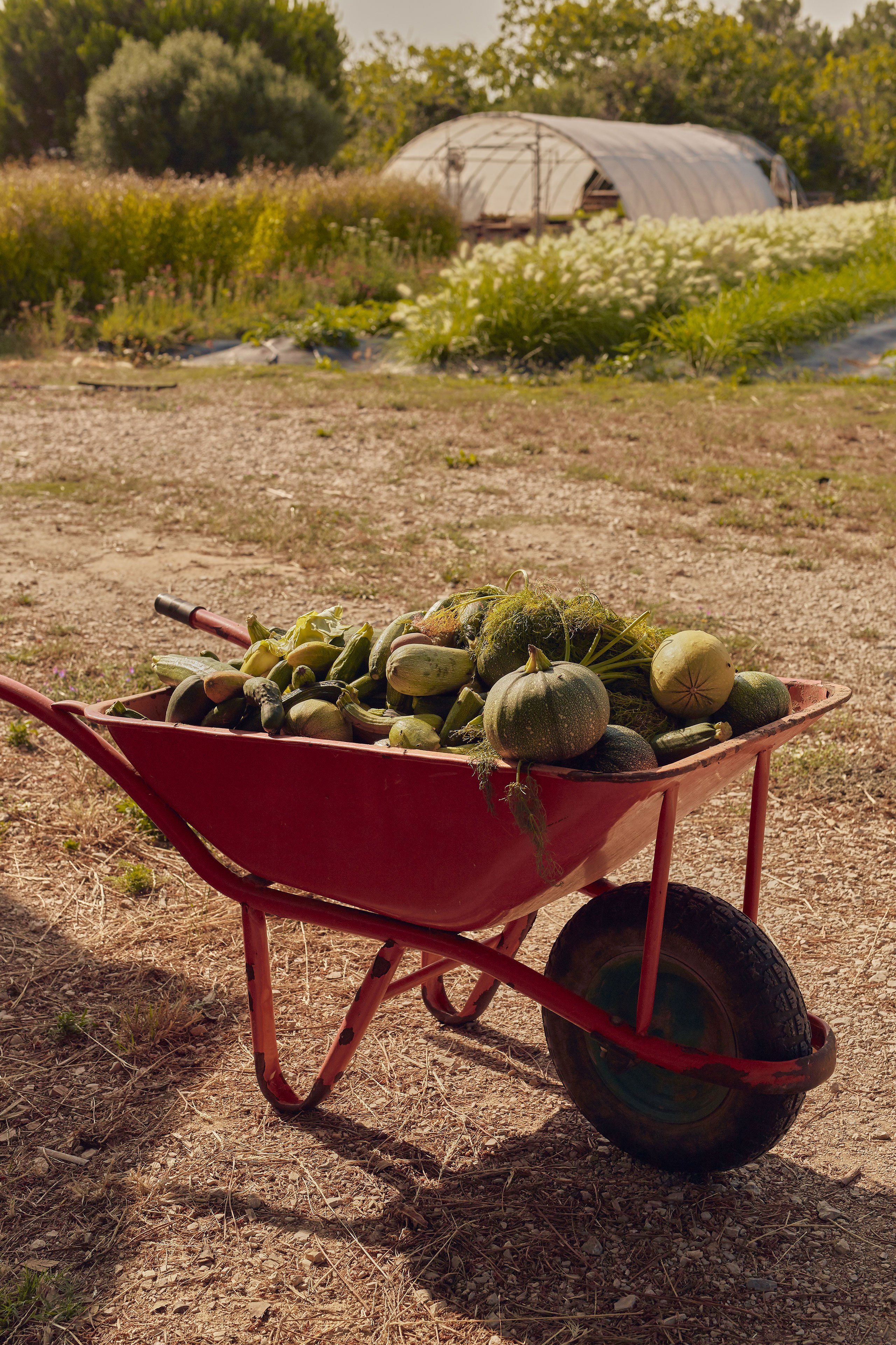 Friends of a Farmer, Herdade do Meco, Portugal. © Slowness.