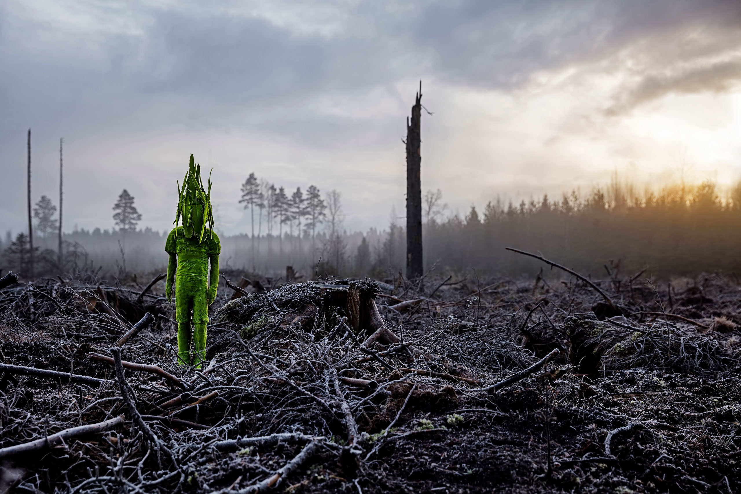 One of Kim Simonsson’s Moss Children photographed out in the landscape of the Finnish Countryside. Photography by Jefunne Gimpel, courtesy of the artist.