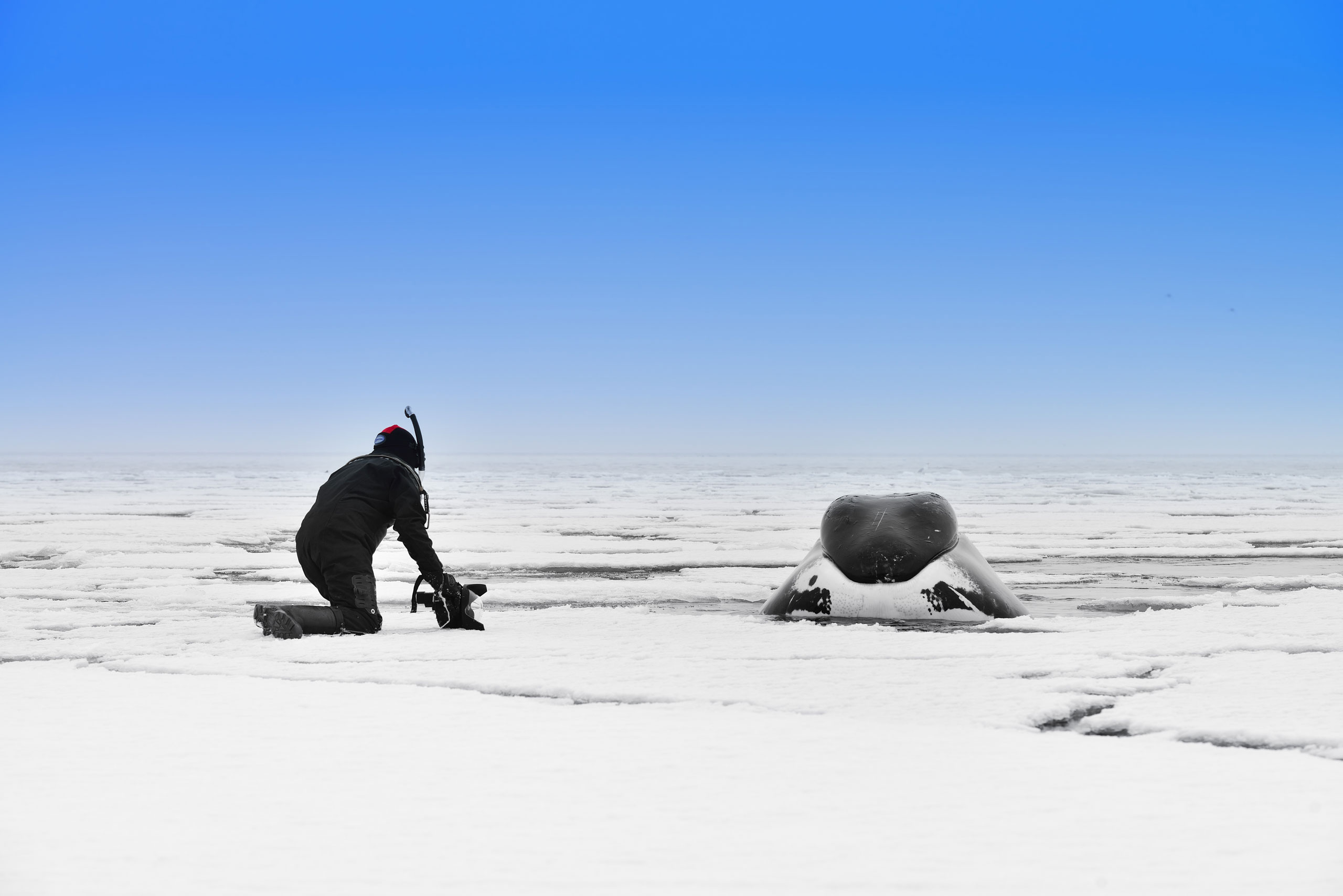 Научная Экспедиция в арктической пустыне