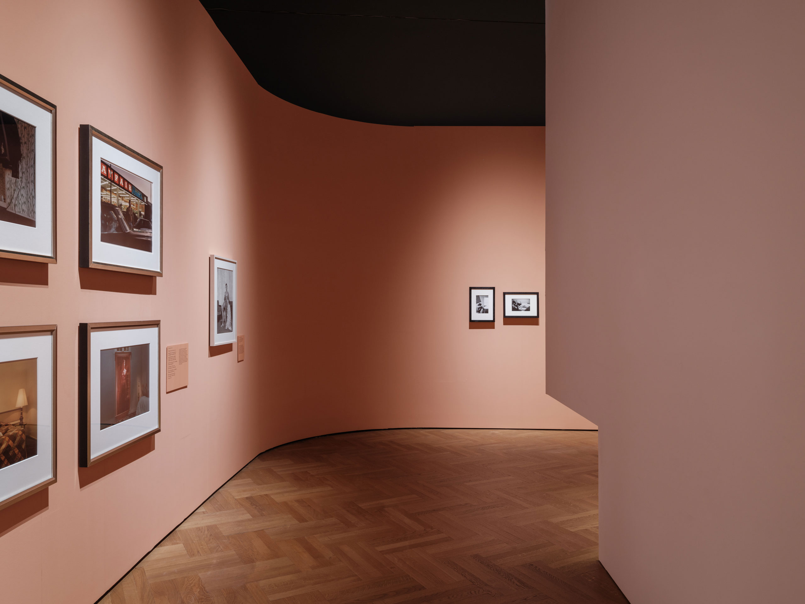 Installation view of "Fragile Beauty" at V&amp;A, South Kensington.
Photography © James Retief.