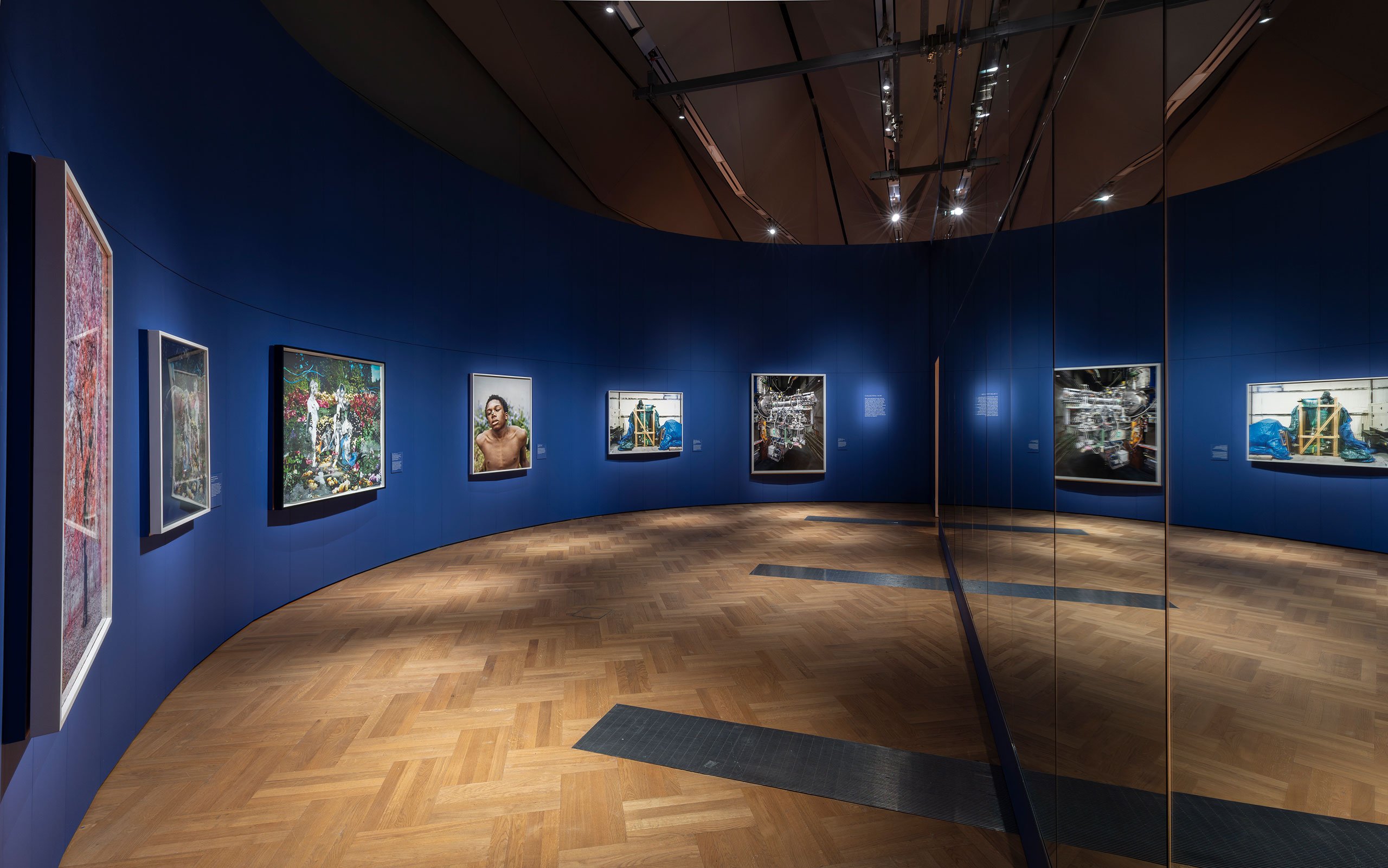 Installation view of "Fragile Beauty" at V&amp;A, South Kensington.
© Victoria and Albert Museum, London.