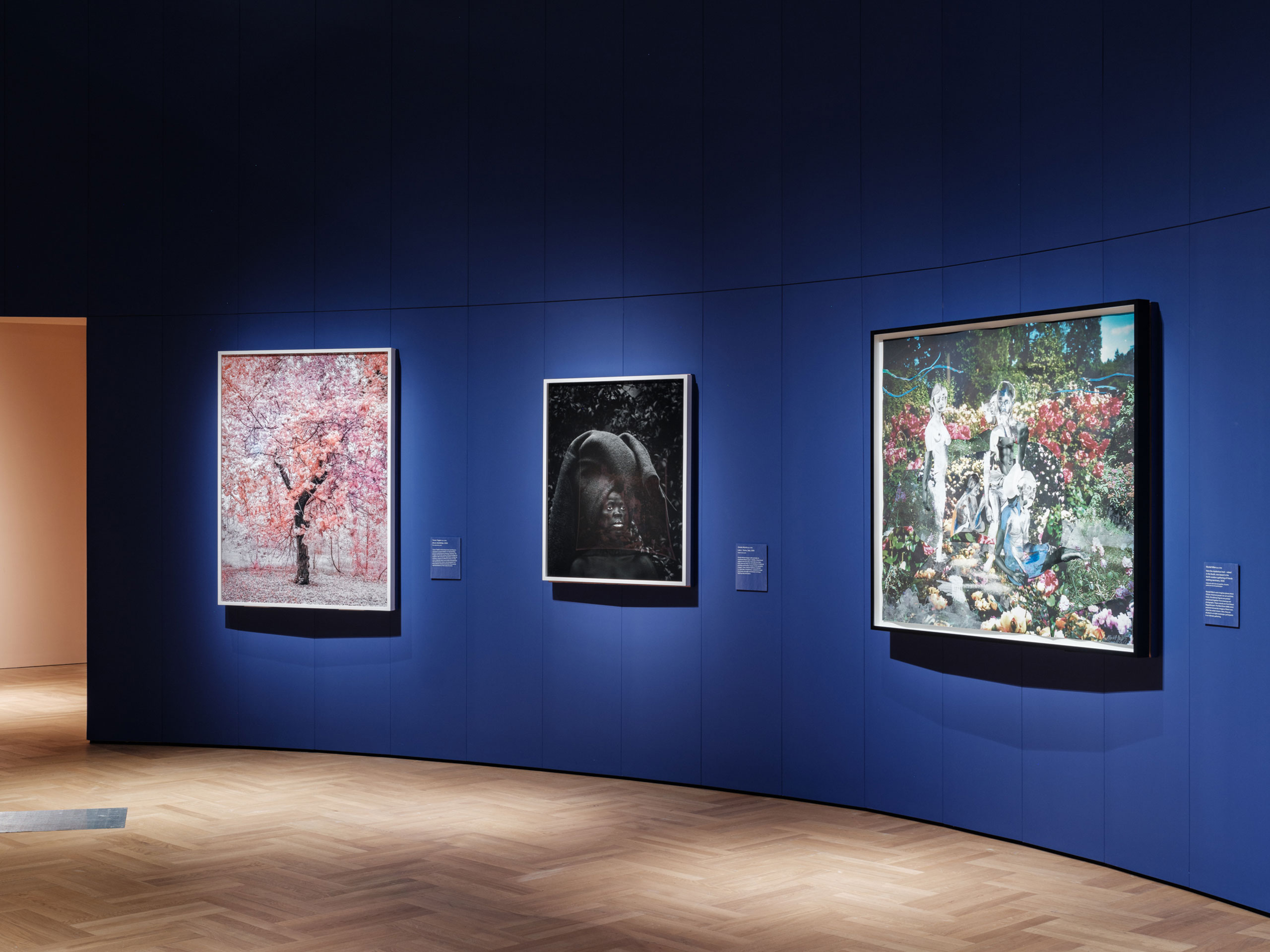 Installation view of "Fragile Beauty" at V&amp;A, South Kensington.
Photography © James Retief.