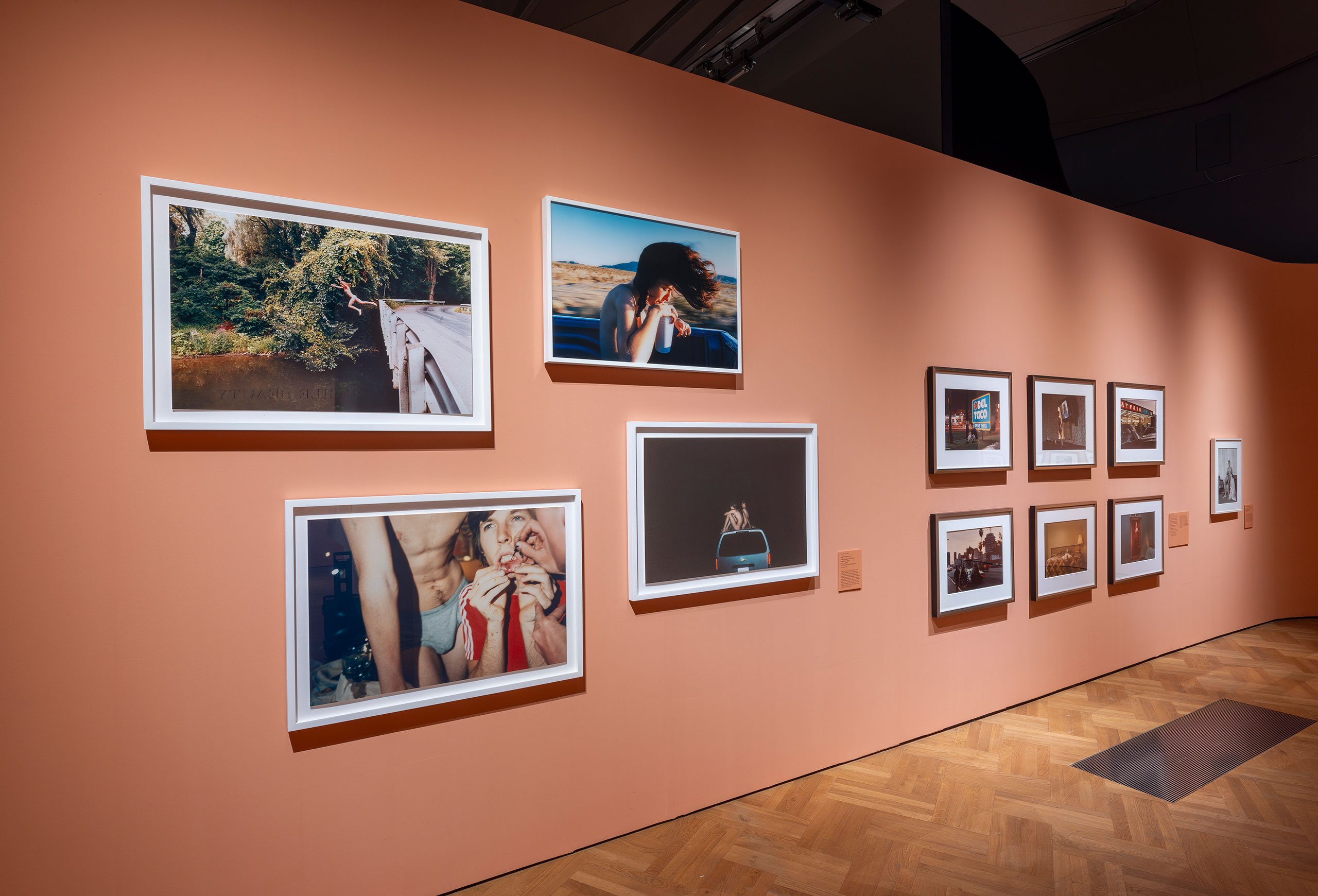 Installation view of "Fragile Beauty" at V&amp;A, South Kensington.
© Victoria and Albert Museum, London.