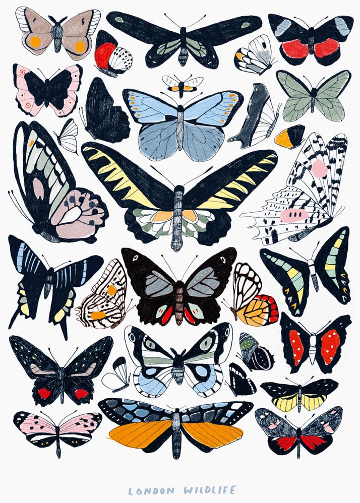 Hanna Melin, London Wildlife, 2014. From Visual Families, Copyright Gestalten 2014.