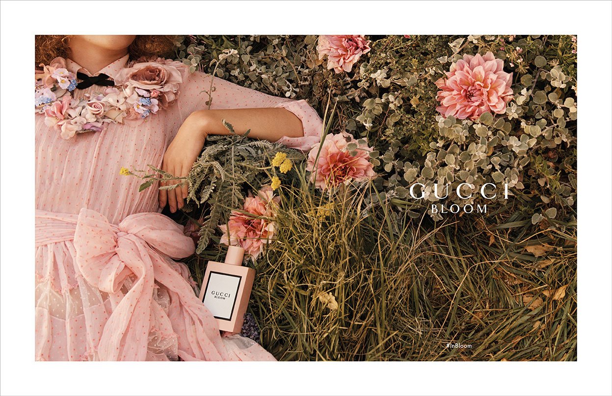 Oprigtighed drivhus Sorg Inside A Scent-sational Garden: Petra Collins & Yatzer In Full Gucci Bloom  | Yatzer