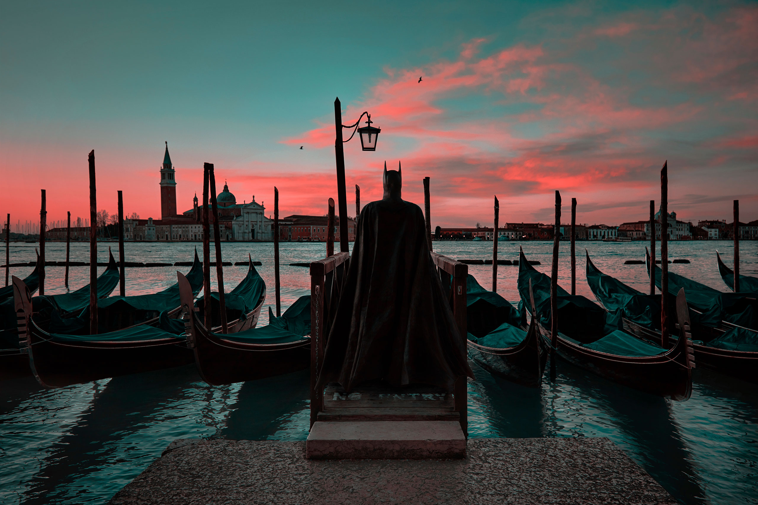 Daily Bat - Venice. Photography by Sebastian Magnani.