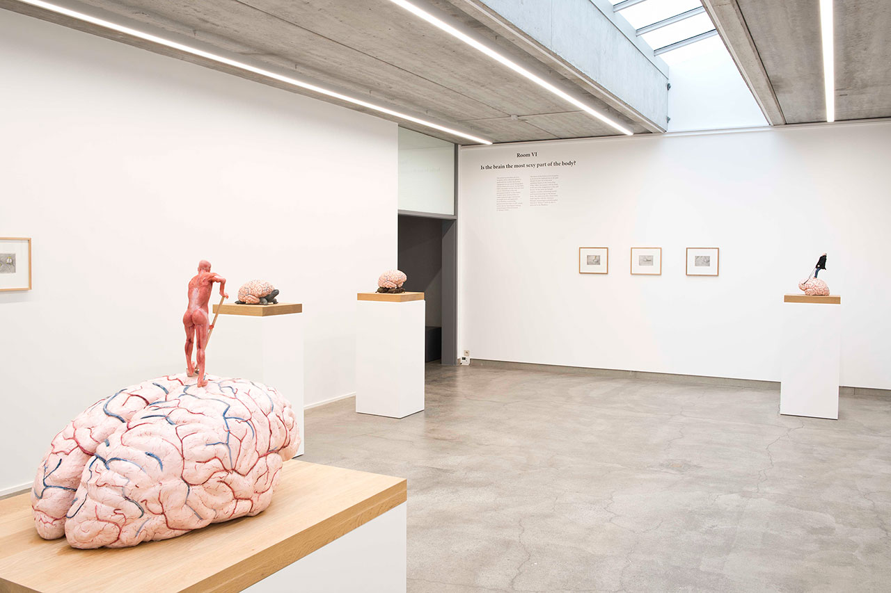 Jan Fabre, 30 Years-7 Rooms. Exhibition view, Room VI – Is the brain the most sexy part of the body? © Deweer Gallery, Otegem Belgium, 2015.