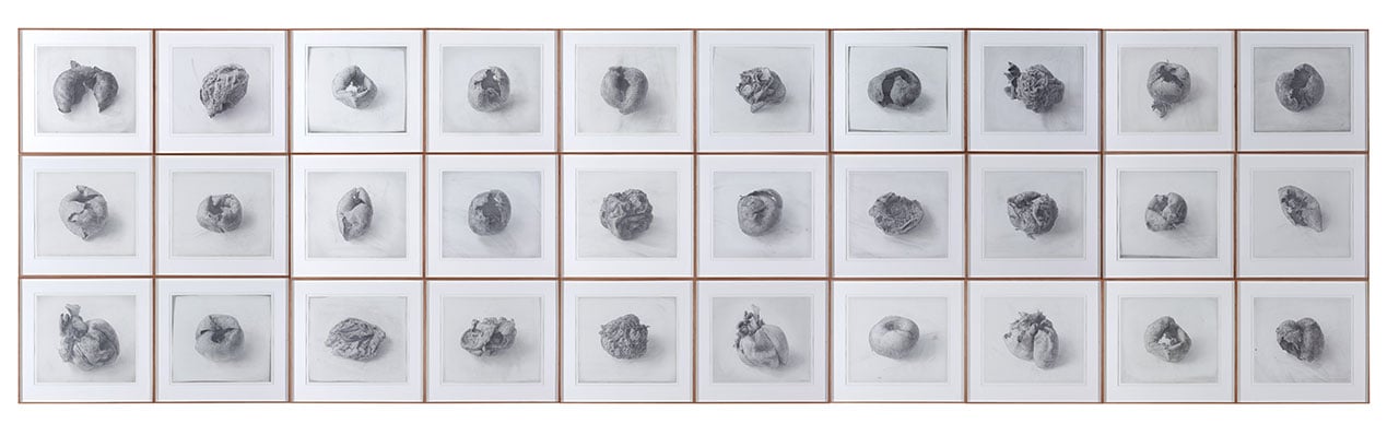 Cheong Do. Dried Persimmon. (40 pieces), 2000. Graphite on paper, 51 x 54 cm each. © Lee Bae.