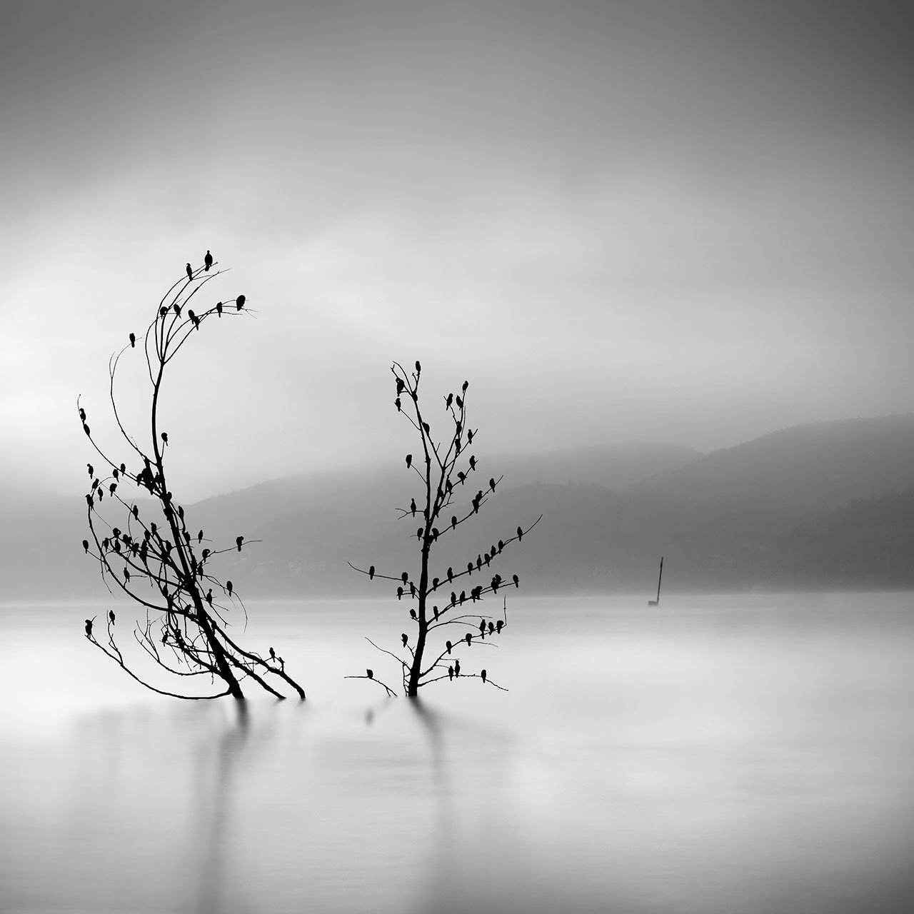 George Digalakis, Ode to joy. © George Digalakis.