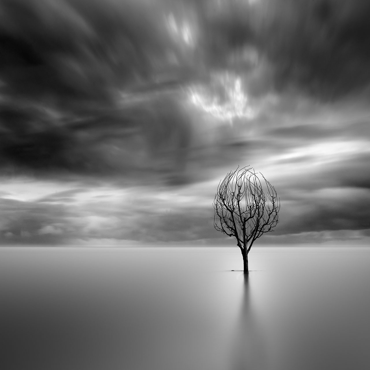 George Digalakis, Lonely tree. © George Digalakis.