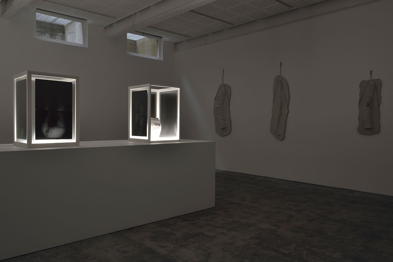 Giuseppe Penone, Ebbi, Avrò, Non ho. Installation view from Marian Goodman Gallery Paris (Lower Gallery). Courtesy the artist and Marian Goodman Gallery.