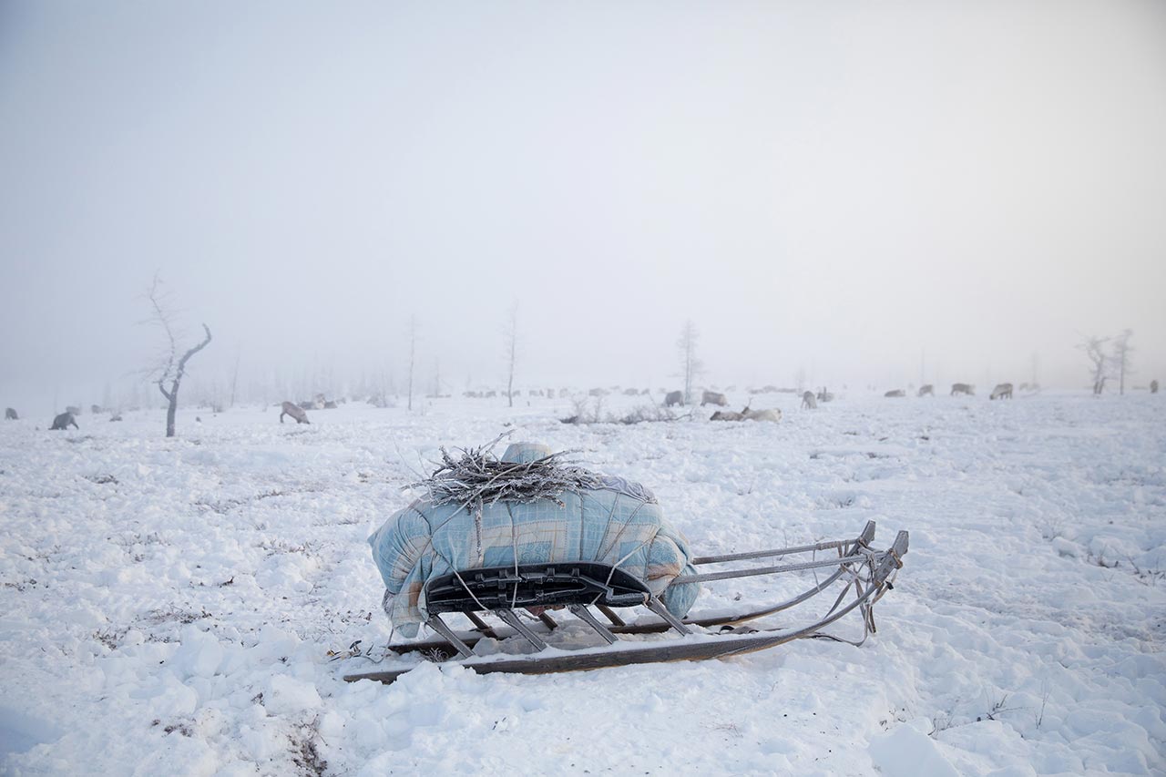A packed sled of the Serotetto family, ready for migration. Yamalo-Nenets Autonomous Okrug, Russia.
Photo © Oded Wagenstein.