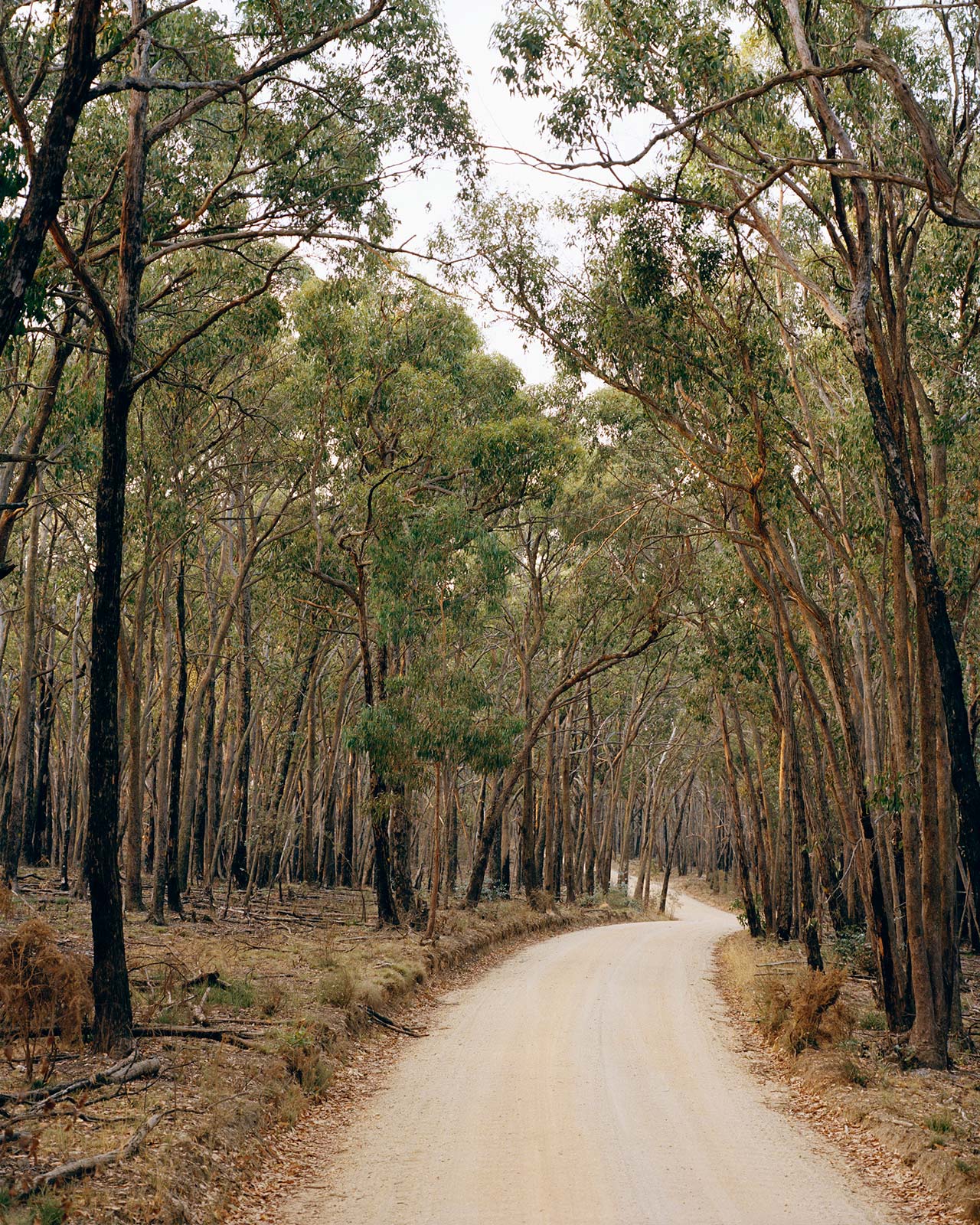 Photo by Rory Gardiner.