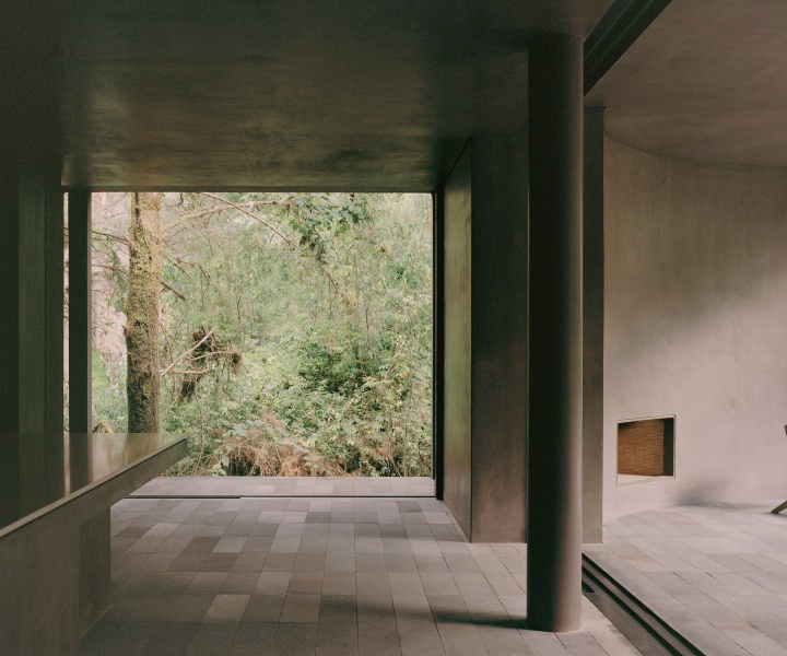 Elevated Serenity: A Minimalist House in Mexico that Blends into the Forest