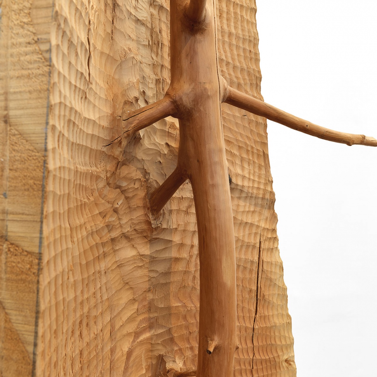 Giuseppe Penone: Matrice | YatzerAgenda