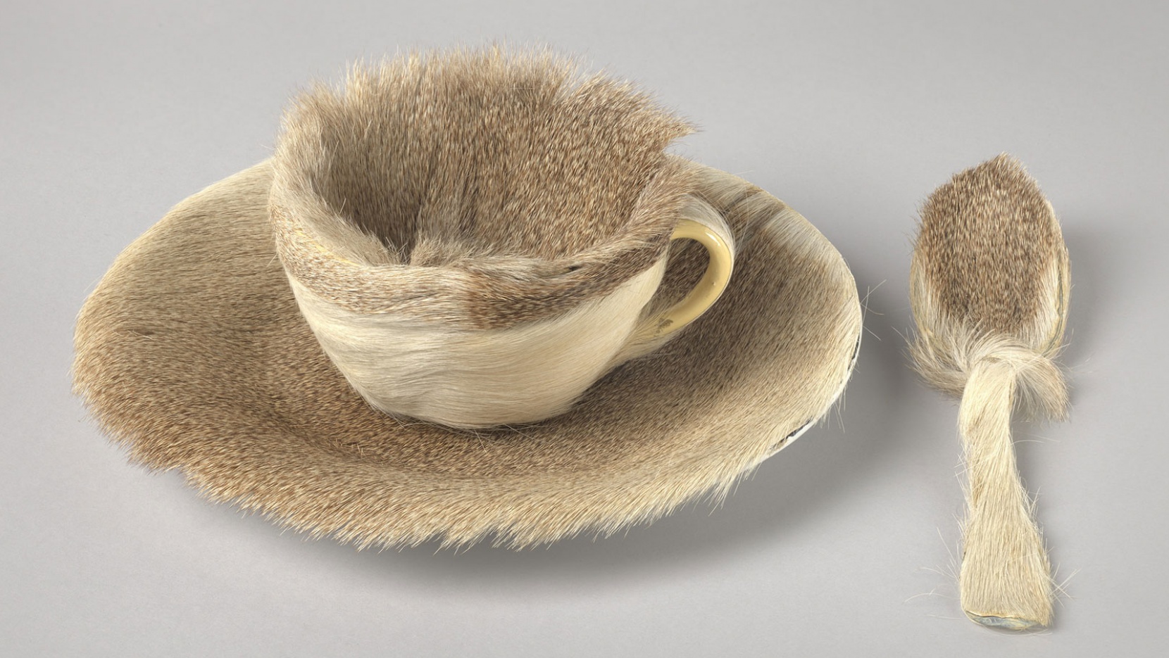 What Inspired Meret Oppenheim